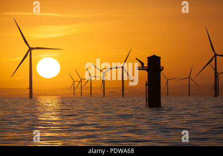 Wind turbines of Walney Offshore Wind Farm in the Irish Sea at sunrise Stock Photo