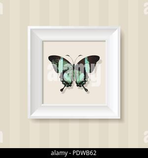 green butterfly in a white frame on a wall background Stock Vector