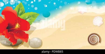 sea background with red hibiscus and seashells Stock Vector