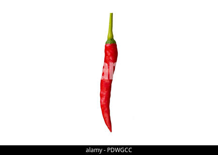 Great image of a nice long red isolated bird eye chili (Capsicum annuum) on a white background from SE Asia. Can be easily cut out and... Stock Photo