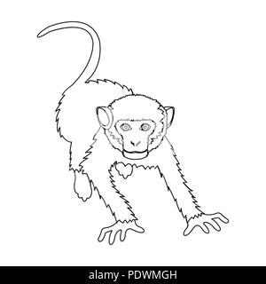 Monkey, wild animal of the jungle. Monkey, mammal primate single icon in outline style vector symbol stock illustration . Stock Vector