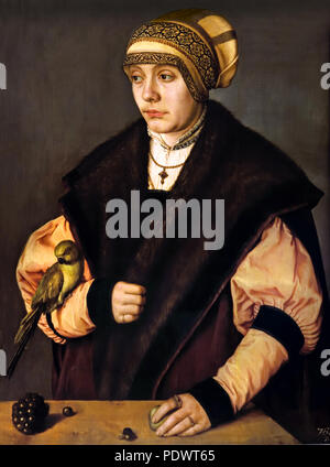 Woman with Parrot 1529 Barthel Beham 1502- 1540 German Germany Stock Photo