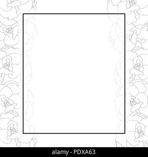 Begonia Flower Outline, Picotee Banner Card Border. Vector Illustration. Stock Vector