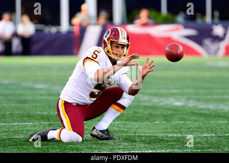 New england patriots punter hi-res stock photography and images - Page 2 -  Alamy