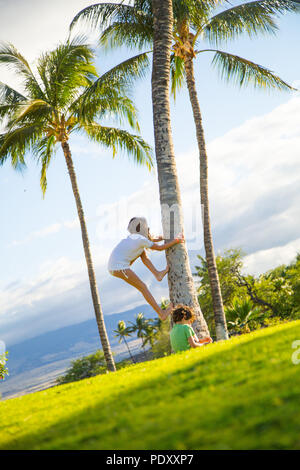 Young Girl Climbing Coconut Tree as her Brother Sits in Grass Below, Hawaii, USA Stock Photo