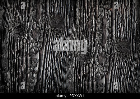 Textured charred wood.	 Stock Photo