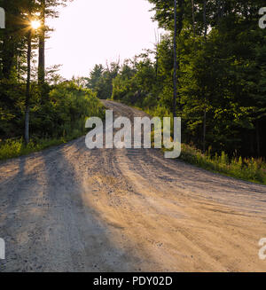 Country dirt road in shadow and sunlight surrounded by trees.