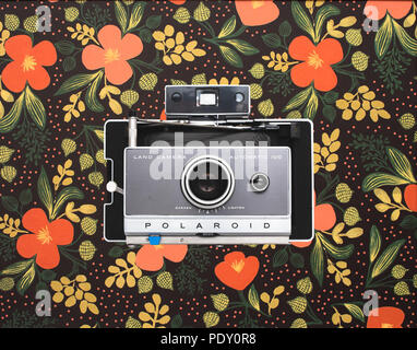 Polaroid camera on floral background Stock Photo