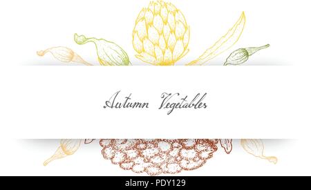 Autumn Vegetables, Illustration of Hand Drawn Sketch Artichoke Flower, White Cauliflower and Squash Blossoms. Stock Vector