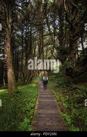 Tourist on her way through rainforest, Pacific Rim National Park, Vancouver Island, British Columbia, Canada Stock Photo