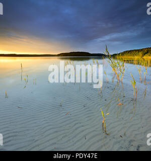 Great Fürstensee lake with reeds, clear water with a wave structure in the sand, evening light, cloudy mood Stock Photo