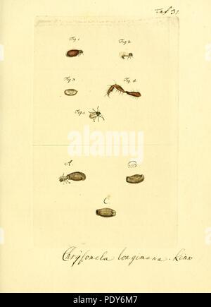 The 'Archiv der Insectengeschichte' is a historical archive on the ...