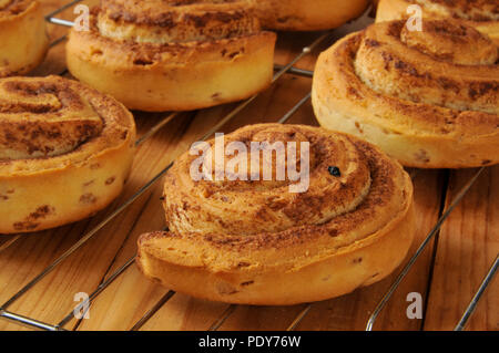 Fresh baked whole wheat cinnamon rolls cooling on a wire rack Stock Photo