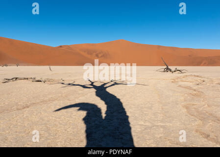 Tree shadow on white clay pan with red sand dunes in the background, deadvlei,Sossusvlei, Namib Naukluft National Park Namibia Stock Photo