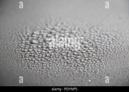 Water droplets forming on a white surface. Beads of water condensation forming abstract background textures. Drops of water mist. Stock Photo