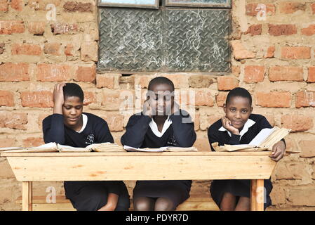 young Ugandan school children dressed in a school uniform sit outside on wooden benches studying for their exams with brick classroom in background Stock Photo