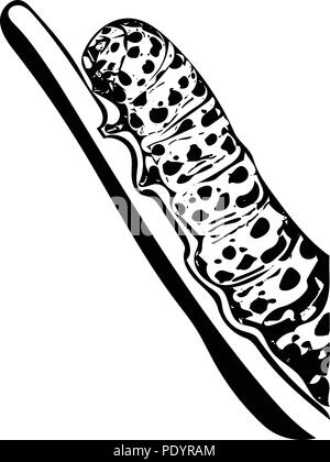 Close-up vector of a vertical Mullein moth caterpillar on stork in black and white. Stock Vector