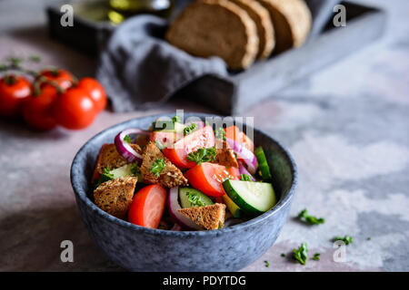 Panzanella - traditional Italian salad with cherry tomatoes, red onion, cucumber and bread croutons Stock Photo