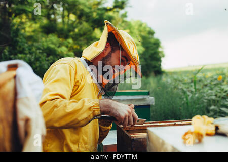 Happy beekeeper working in his apiary Stock Photo