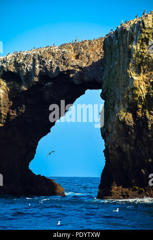 Arch Rock, Anacapa Island, Channel Islands National Park off the coast of Ventura, California Stock Photo