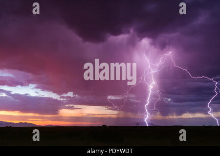 Lightning strike during a colorful sunset thunderstorm near Benson, Arizona Stock Photo