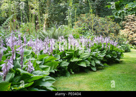 Wilderness garden at Renishaw Hall and Gardens, Renishaw, Derbyshire, UK Stock Photo