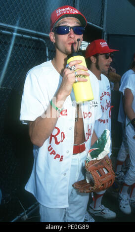 Layne Staley in 1993 Sunglasses Earring Short hair Singing Holding the mic  | Layne staley, Staley, Alice in chains