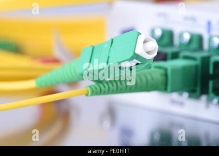 Passive Optical Network, Patch cord with Selective Focus and Network Equipment with Connected Cables in the Background Stock Photo