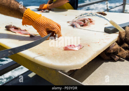 Fisherman wearing gloves cutting fish fillets on cutting board. Fisherman on boat deck preparing fish over looking ocean. Stock Photo