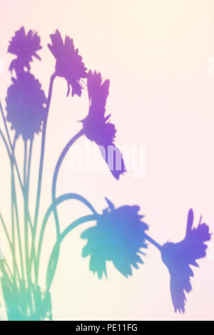 Bunch of flowers shadow reflected in Pastel Rainbow colours on textured background Stock Photo