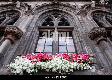 Flowers of petunia decorating a gothic window of city hall in Mons, Belgium Stock Photo