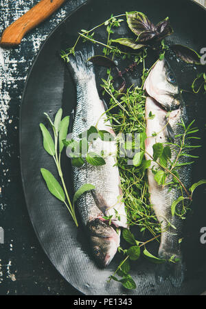 Flat-lay of raw uncooked sea bass fish with herbs