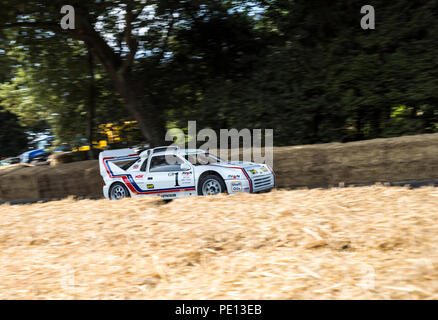 A rally car speeds up the Hillclimb at the Goodwood Festival of Speed 2018. Stock Photo