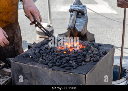 A blacksmith heating the metal stirrup hook he is making in a red hot glowing blacksmiths fire next to his anvil. Stock Photo