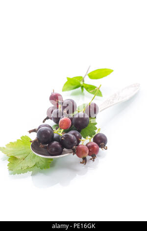 ripe berries black currant on white background Stock Photo