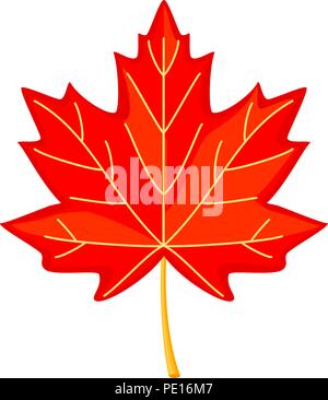 Colorful cartoon red maple leaf Stock Vector