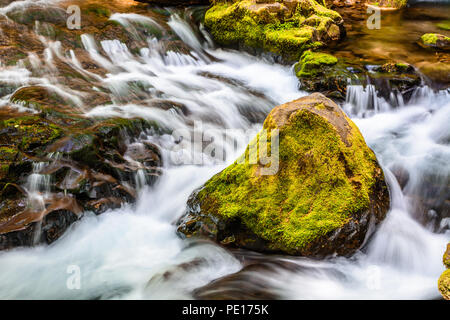 A moss covered boulder sits adjacent to several small cascading waterfalls along Panther Creek in Southern Washington.