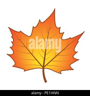 isolated orange autumn leaf vector illustration EPS10 Stock Vector