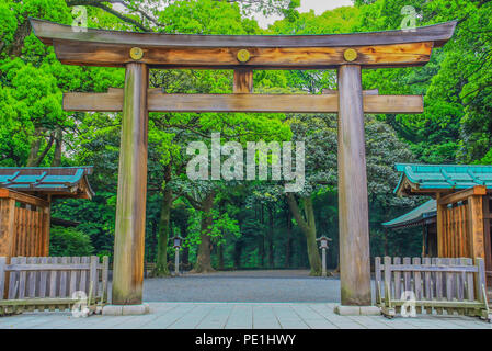 Tokyo, Japan - In the Japan's capital you can find a stunning mix of millenary history and modernity Stock Photo