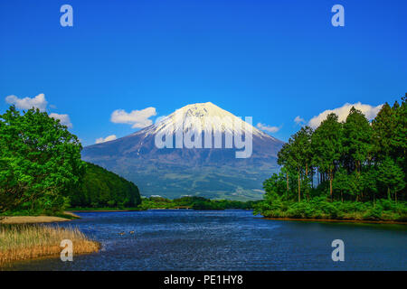 Mount Fuji, Japan - probably the most famous landmark in Japan, Mount Fuji stands 3776 meters high. Here in particular the volcano in Spring Stock Photo