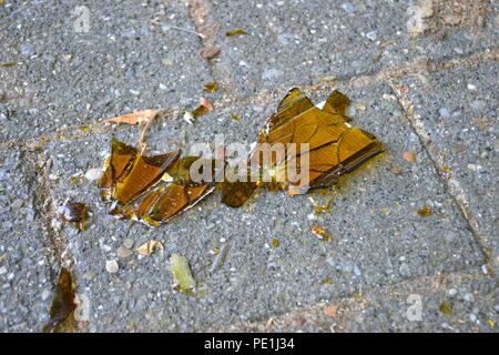 Closeup photograph of brown broken glass, presumably from a bottle of beer, on a pavement Stock Photo