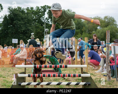 Boy and dog jumping over a fence in the agility class contest at the annual Ellingham and Ringwood Agricultural Society Show in the rural west of Hampshire, England, UK, 11th August 2018. Stock Photo