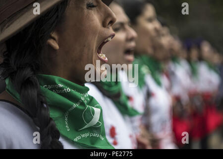 Lima, Peru. 11th Aug, 2018. Demonstrators shout slogans during a Ni Una Menos (Not One Less) rally in protest of gender based violence in Lima. Ni Una Menos (Not One Less) demands that women should be protected from violent deaths at the hands of men in Peru. Credit: Guillermo Gutierrez/SOPA Images/ZUMA Wire/Alamy Live News Stock Photo