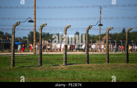 Oswiecim, Poland. 09th Aug, 2018. View of a barbed wire fence in the former extermination camp Auschwitz-Birkenau. From 1940 to 1945, the SS operated the Auschwitz complex with numerous subcamps as extermination and concentration camps. Credit: Monika Skolimowska/dpa-Zentralbild/dpa/Alamy Live News Stock Photo