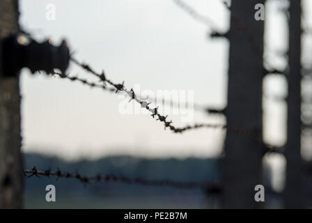 Oswiecim, Poland. 09th Aug, 2018. View of a barbed wire fence in the former extermination camp Auschwitz-Birkenau. From 1940 to 1945, the SS operated the Auschwitz complex with numerous subcamps as extermination and concentration camps. Credit: Monika Skolimowska/dpa-Zentralbild/dpa/Alamy Live News Stock Photo