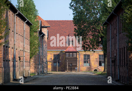 Oswiecim, Poland. 09th Aug, 2018. View of the brick barracks and a watchtower in the former Auschwitz extermination camp. From 1940 to 1945, the SS operated the Auschwitz complex with numerous subcamps as extermination and concentration camps. Credit: Monika Skolimowska/dpa-Zentralbild/dpa/Alamy Live News Stock Photo