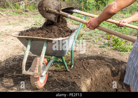 Workers pour earth from the pit for a septic tank in a wheelbarrow Stock Photo