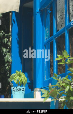 Greece, the island of Hydra.  A basil plant on a taverna table Stock Photo