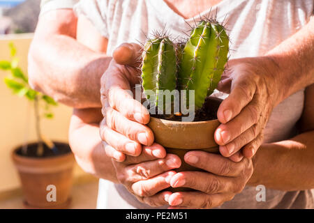 old aged pair of hands retired adult caucasian taking a green live plant cactus. tropical and vacation place, carefree and help concept. nice people o