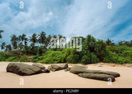 Tropical beach of Sri-Lanka Stock Photo